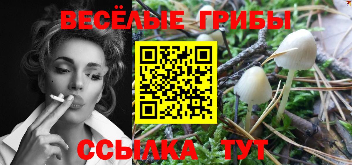 COCAIN  LSD-25  МЕТ  ГАШИШ  Меф   Вход с VPN  Калининград  Марихуана 