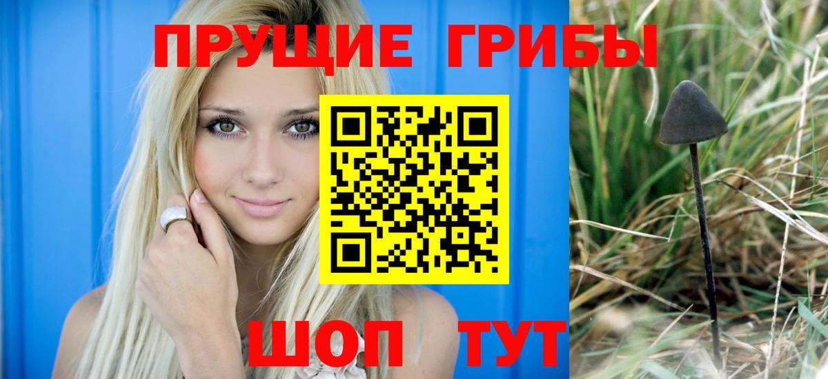  COCAIN Калининград
